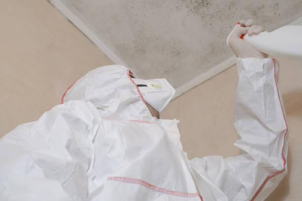 Best Certified Mold Removal  in Blue Ridge, AL