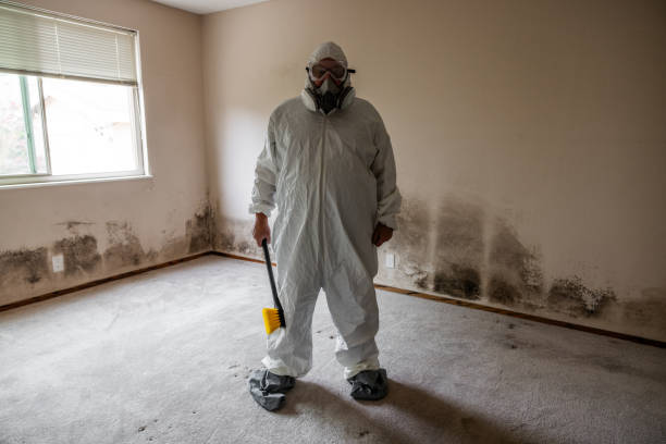 Best Emergency Mold Removal  in Blue Ridge, AL